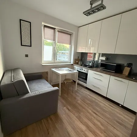 Apartment Comfort Onyksowa